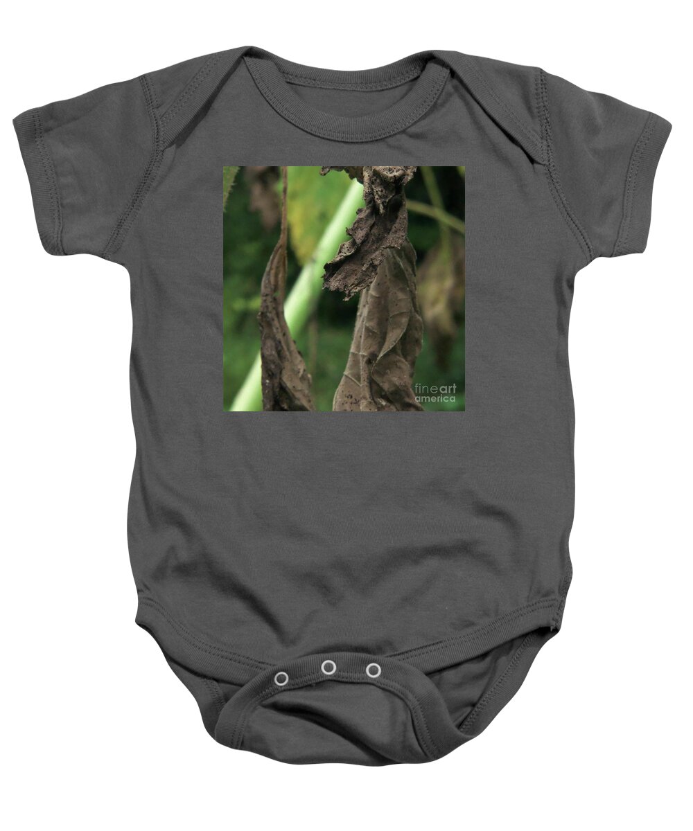 Dead Leaves Baby Onesie featuring the photograph Change Of Seasons by Rosanne Licciardi