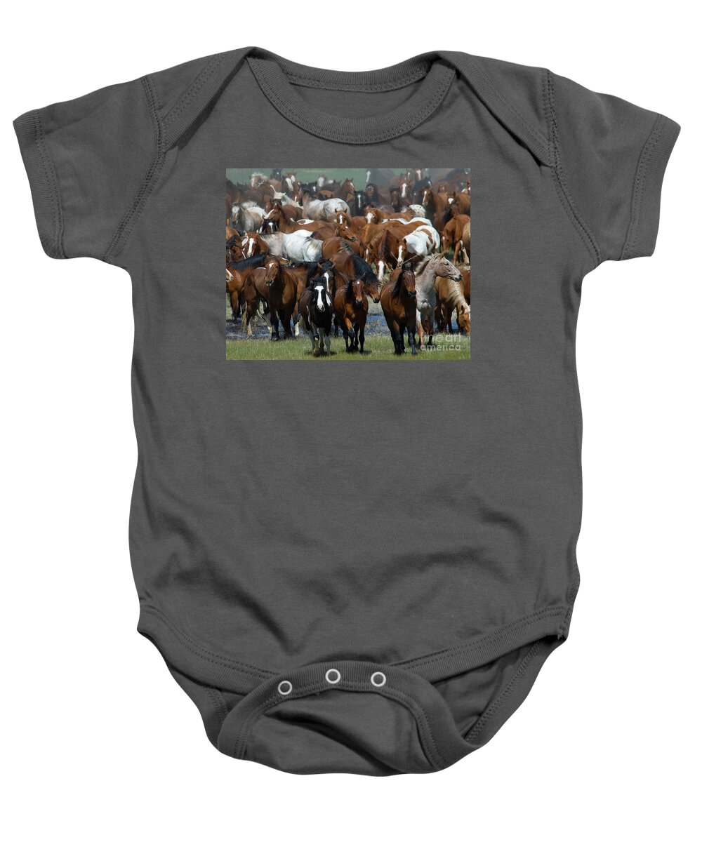 Horses Baby Onesie featuring the photograph Chaos in the Herd by Jody Miller
