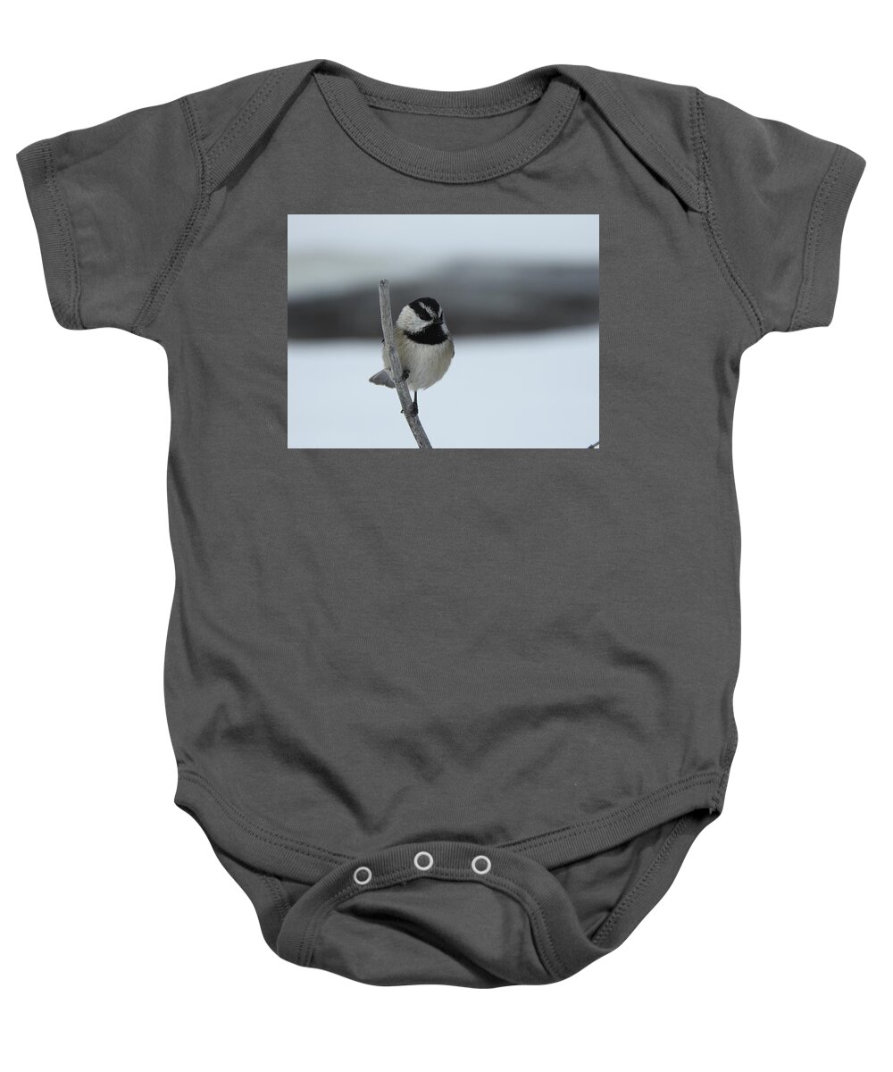Black Capped Chickadee Baby Onesie featuring the photograph Chickadee by Nicola Finch