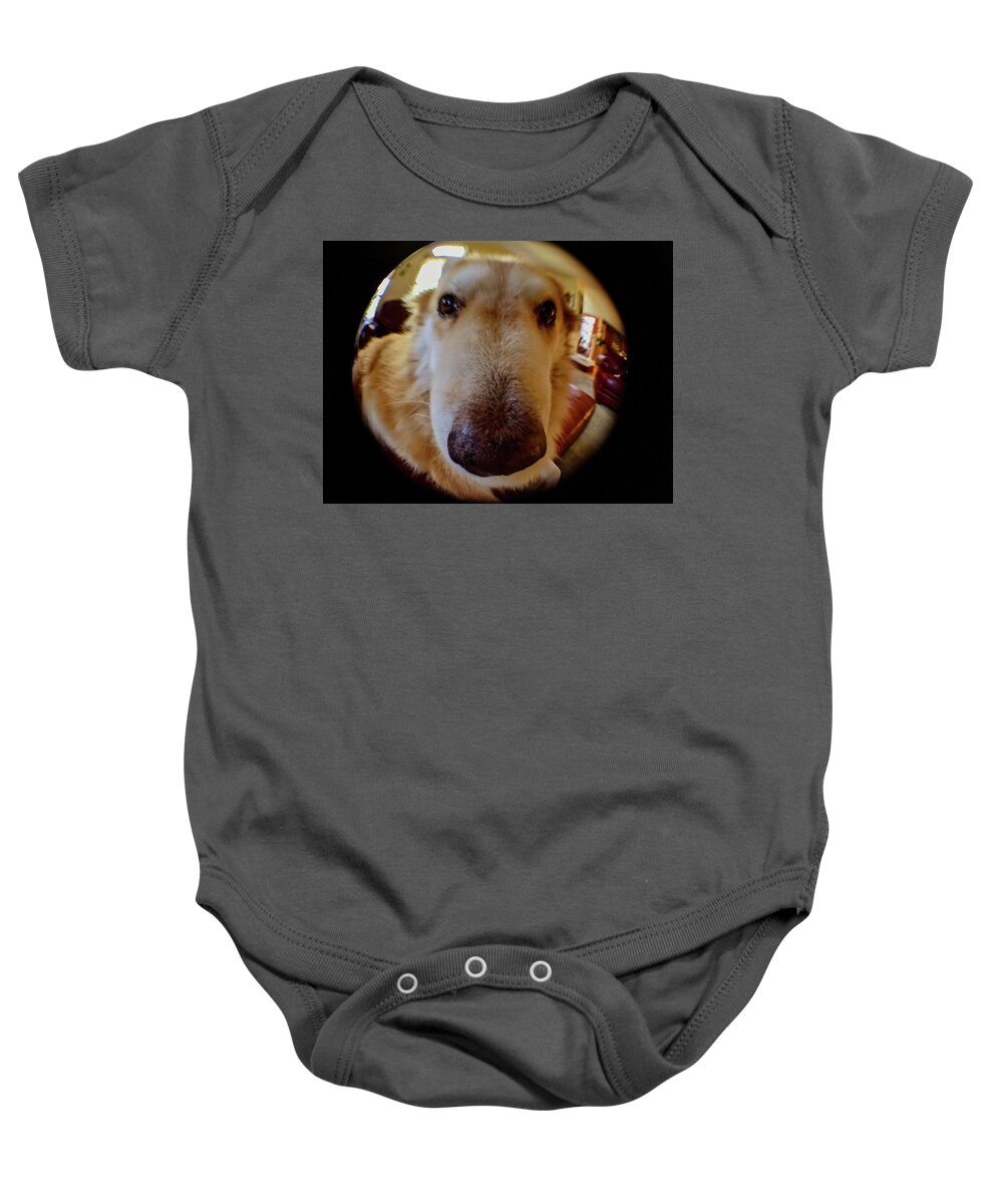  Baby Onesie featuring the photograph Close In Doggy by Brad Nellis