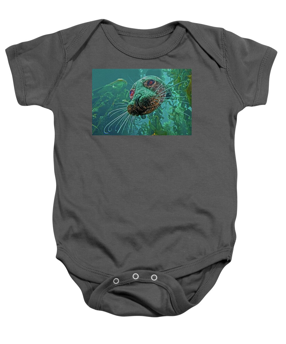 Photo Baby Onesie featuring the photograph Closeup of a Seal. California by World Art Collective