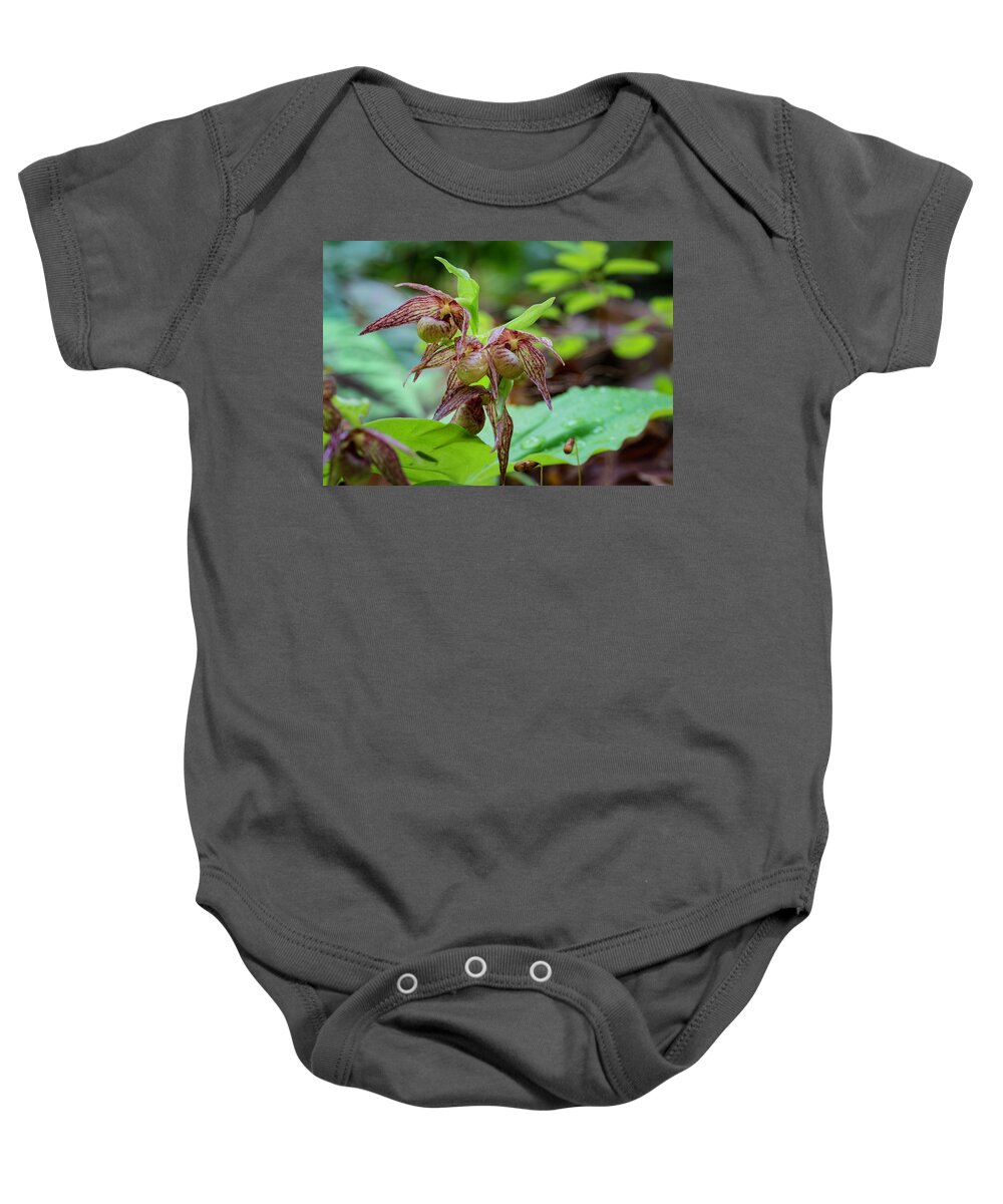 Betty Depee Baby Onesie featuring the photograph Clustered Lady's-slipper by Betty Depee