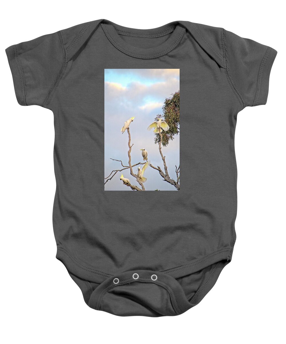 Australia Baby Onesie featuring the photograph Cockatoos 3- Canberra - Australia by Steven Ralser
