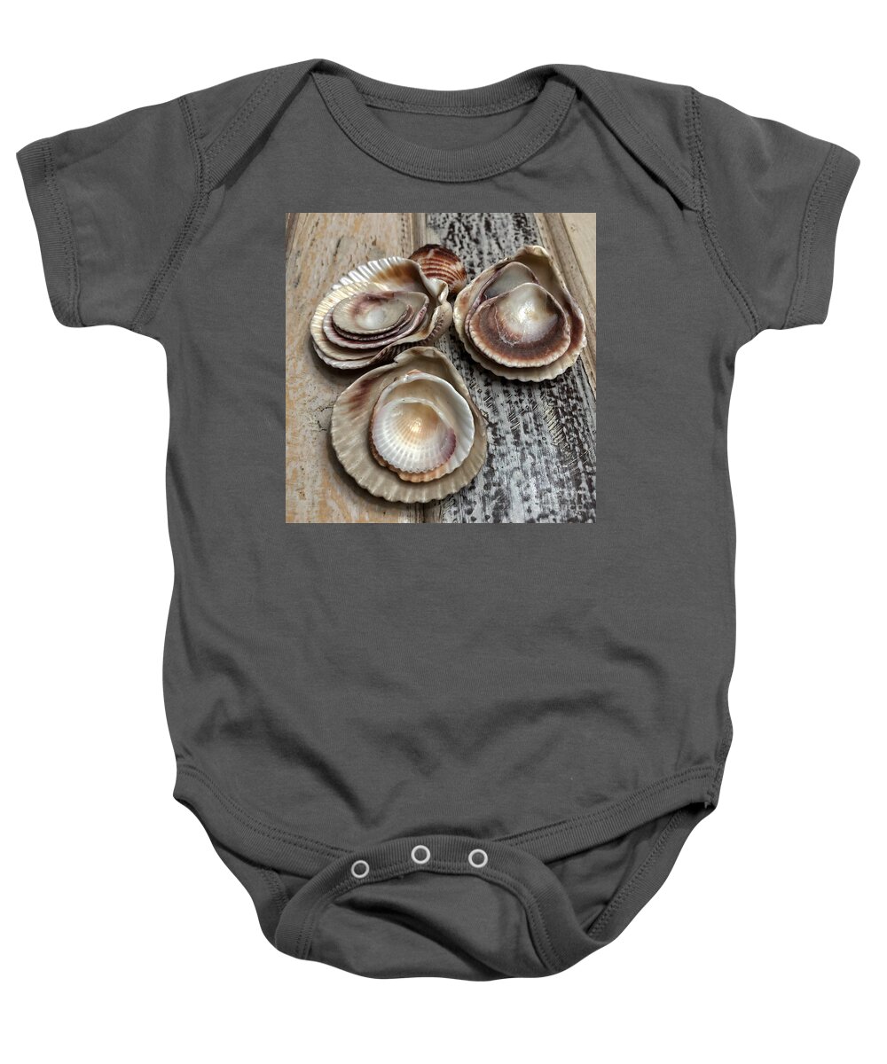 Seashells Baby Onesie featuring the photograph Collection by Diana Rajala
