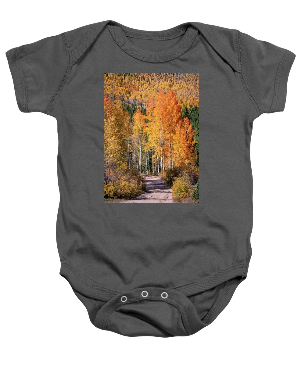 Abstract Baby Onesie featuring the photograph Colorado Fall Colors by Alex Mironyuk