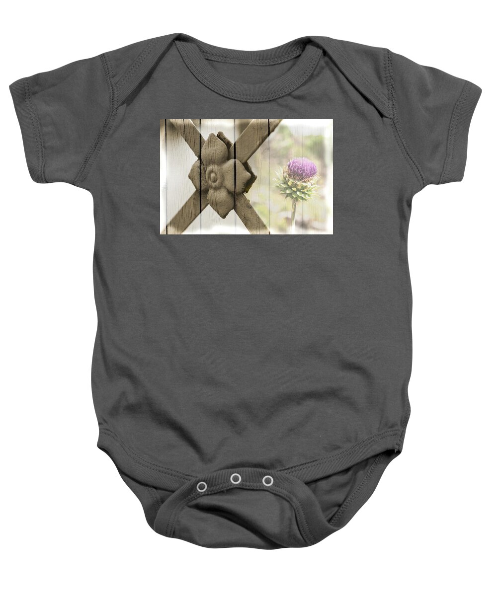 Beauty Baby Onesie featuring the photograph Composite image of wroght iron and thisile on wood background. by Kyle Lee