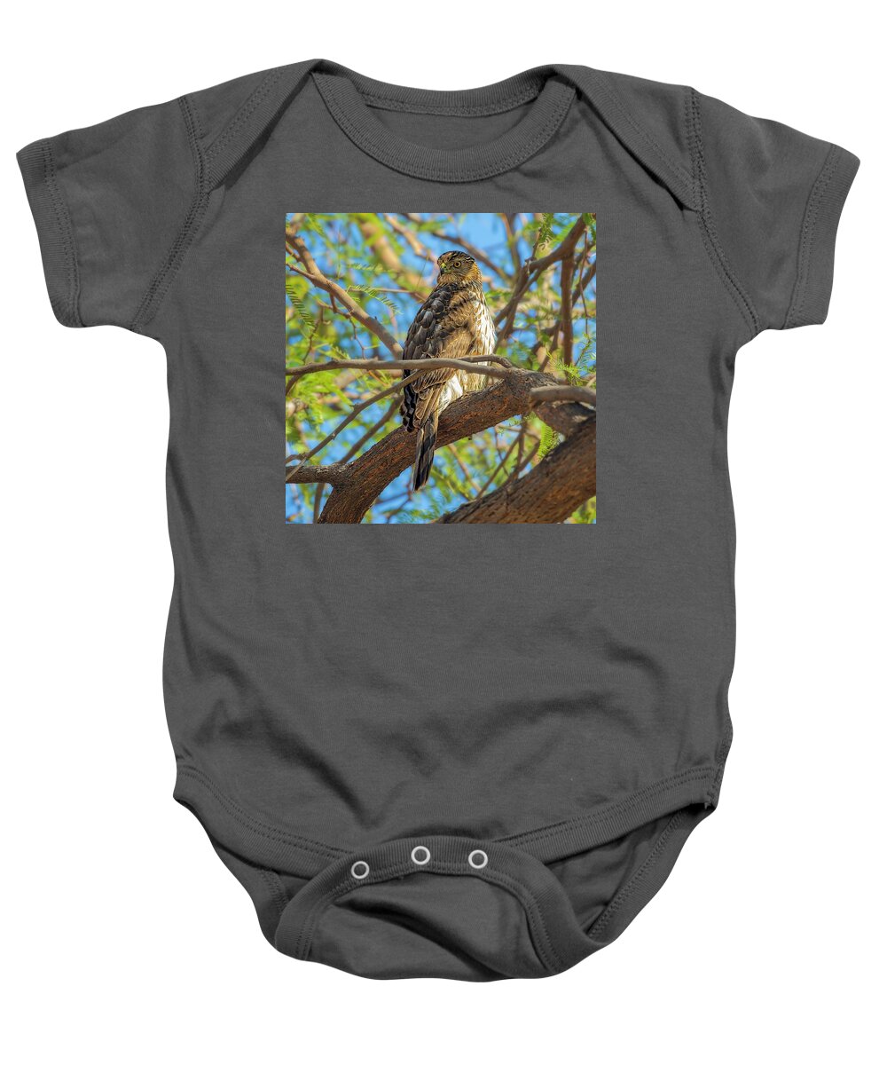 Cooper's Baby Onesie featuring the photograph Cooper's Hawk 24280 by Mark Myhaver