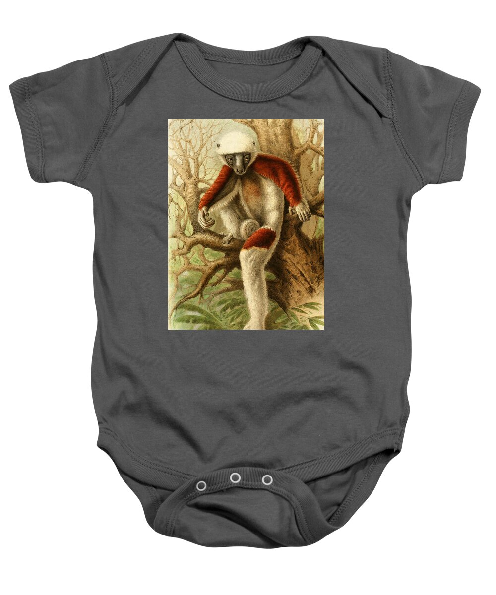 Zoological Baby Onesie featuring the mixed media Coquerel's sifaka by World Art Collective