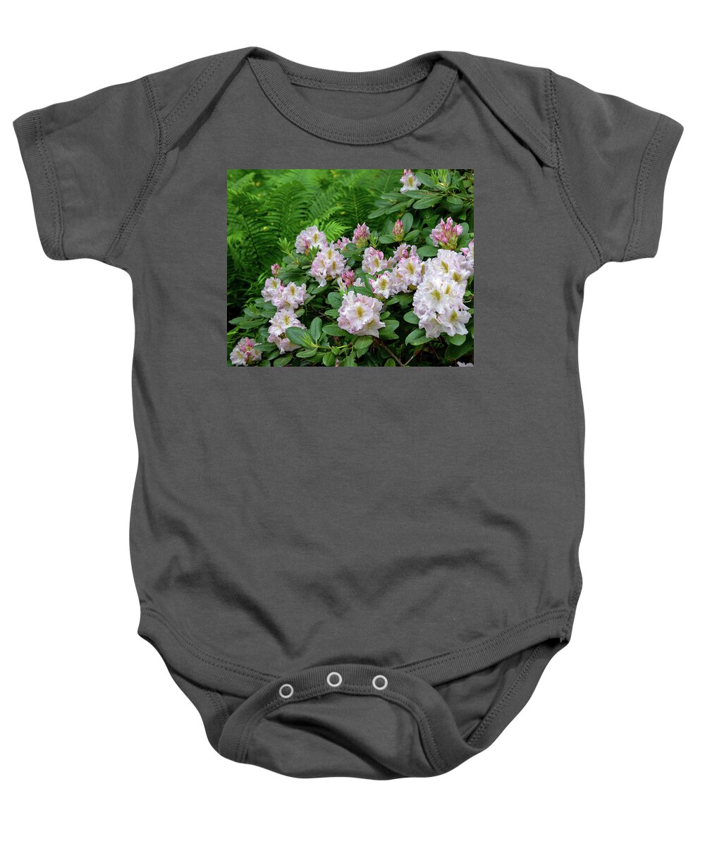 Cornell University Baby Onesie featuring the photograph Cornell Botanic Gardens #2 by Mindy Musick King