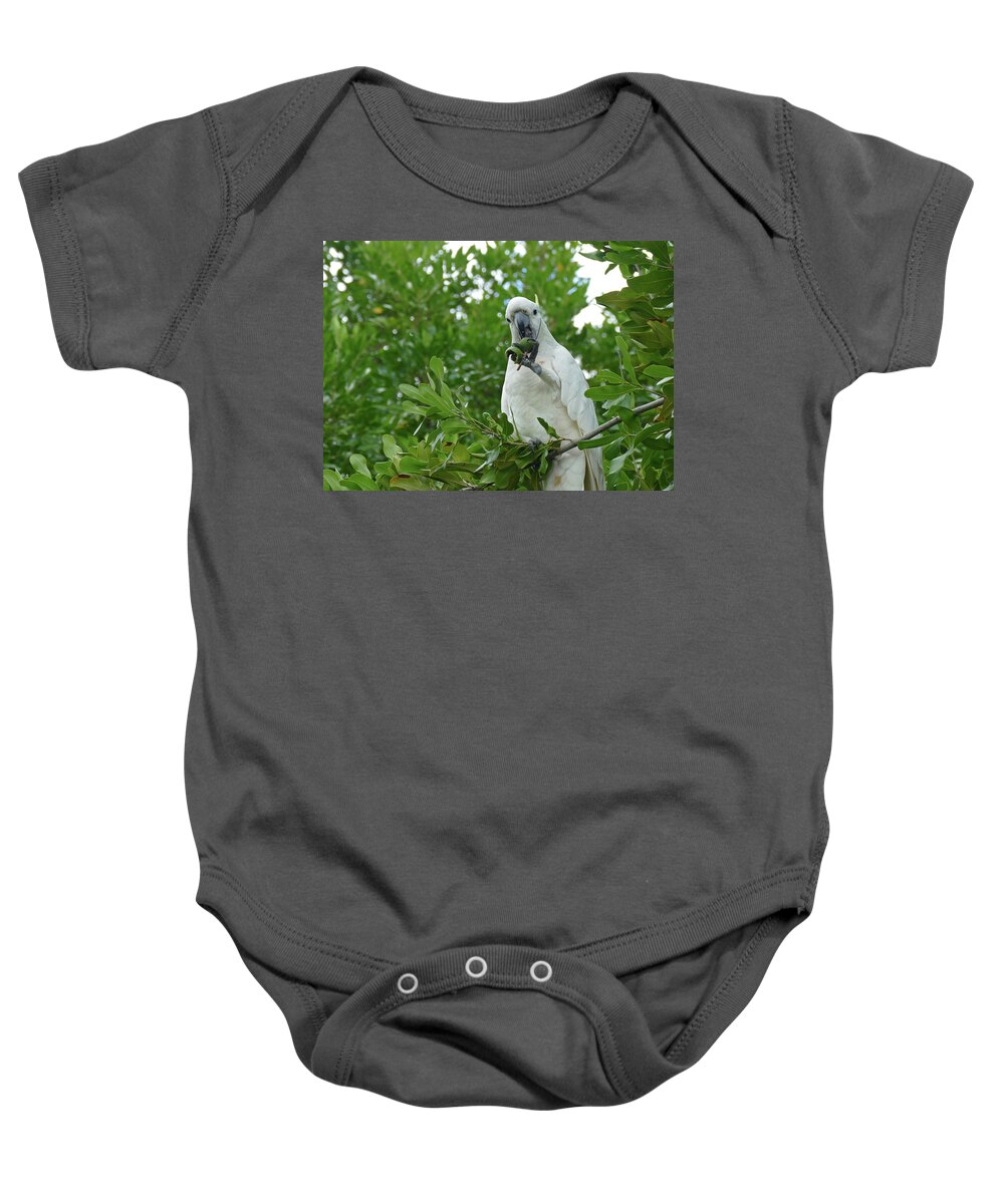 Birds Baby Onesie featuring the photograph Cracking A Tough Nut by Maryse Jansen