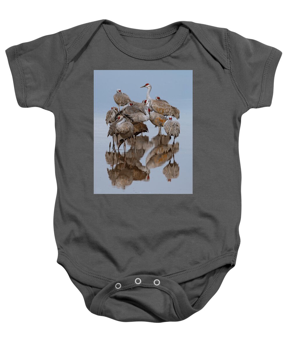 Sandhill Cranes Baby Onesie featuring the photograph Crane Stack by Mary Hone