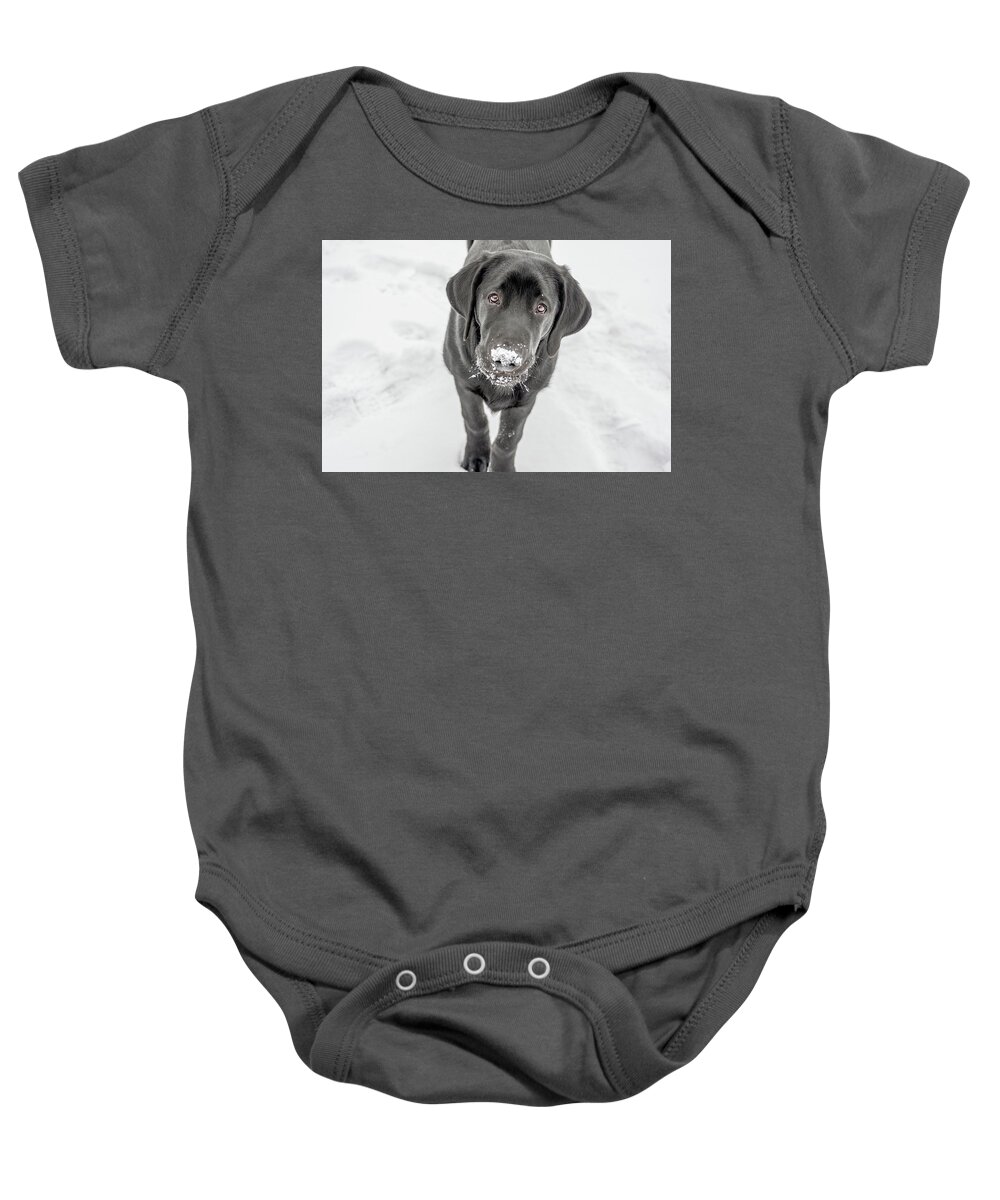 February Baby Onesie featuring the photograph Curious Otis by Dee Potter