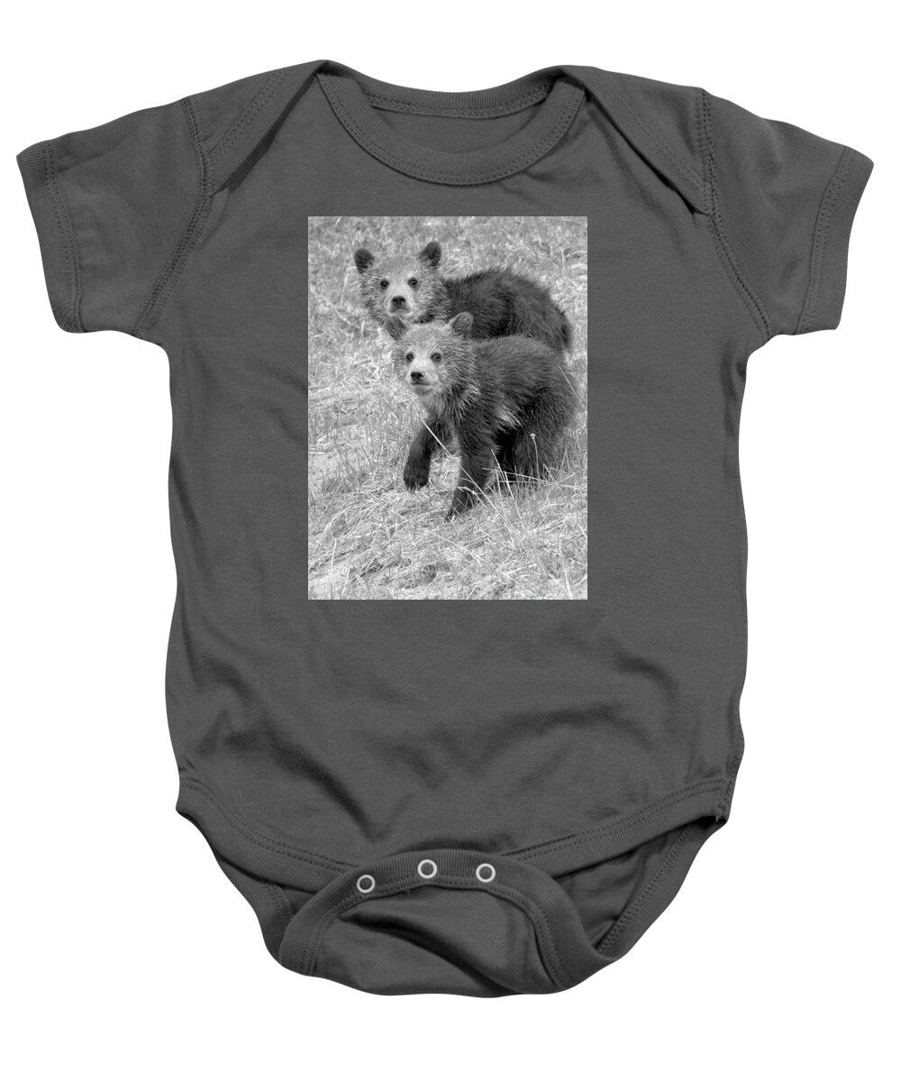 Grizzly Baby Onesie featuring the photograph Cute Grizzly Bear Cub Portrait Black And White by Adam Jewell