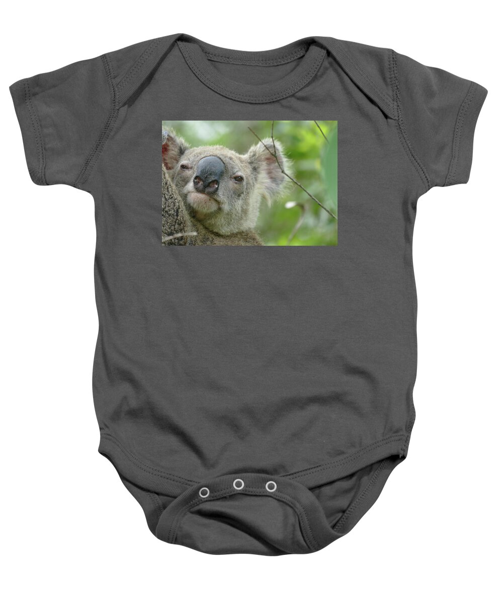Animals Baby Onesie featuring the photograph Cute Koala Close Up by Maryse Jansen