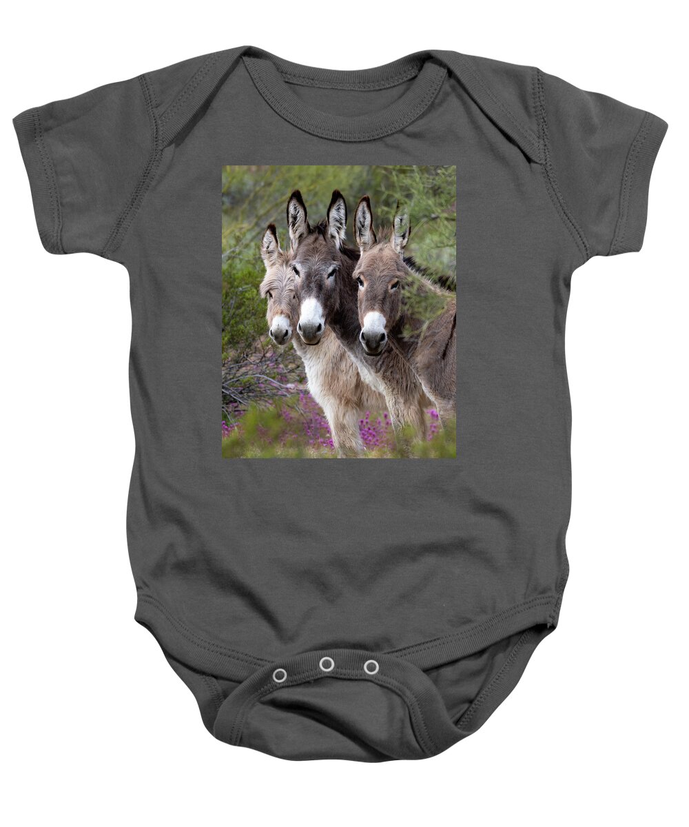 Wild Burros Baby Onesie featuring the photograph Cutest family by Mary Hone