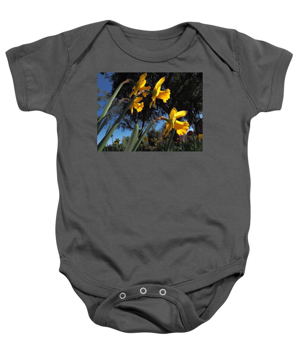  Spring Baby Onesie featuring the photograph Daffodil Yellow by Richard Thomas