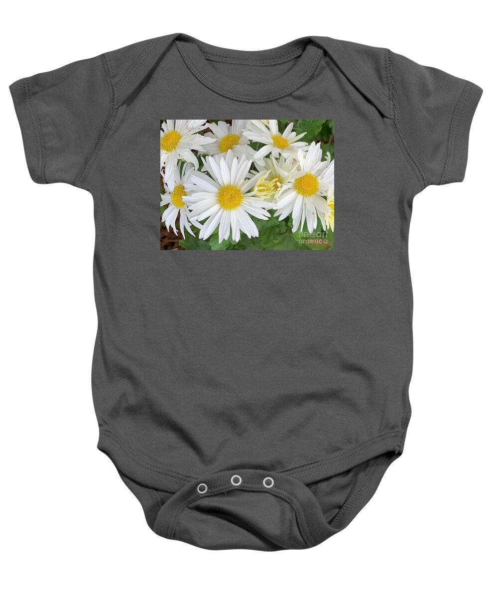 Daisy Baby Onesie featuring the photograph Daisy Flowers by Catherine Wilson