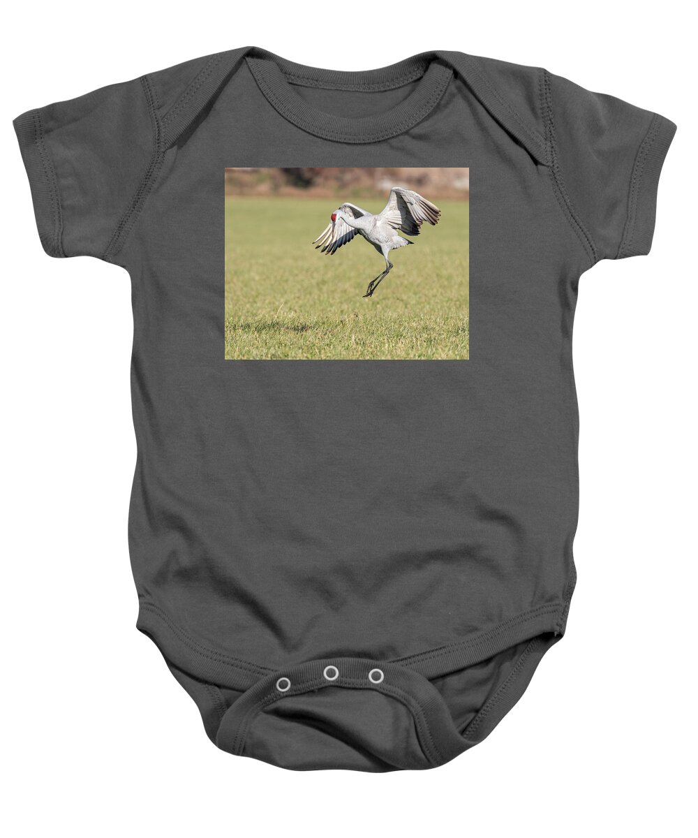 Sandhill Crane Baby Onesie featuring the photograph Dancing 2020-1 by Thomas Young