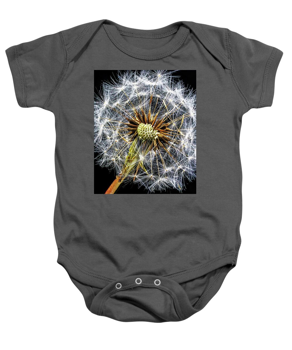 Dandelion Baby Onesie featuring the photograph Dandelion Gone To Seed by Gary Slawsky