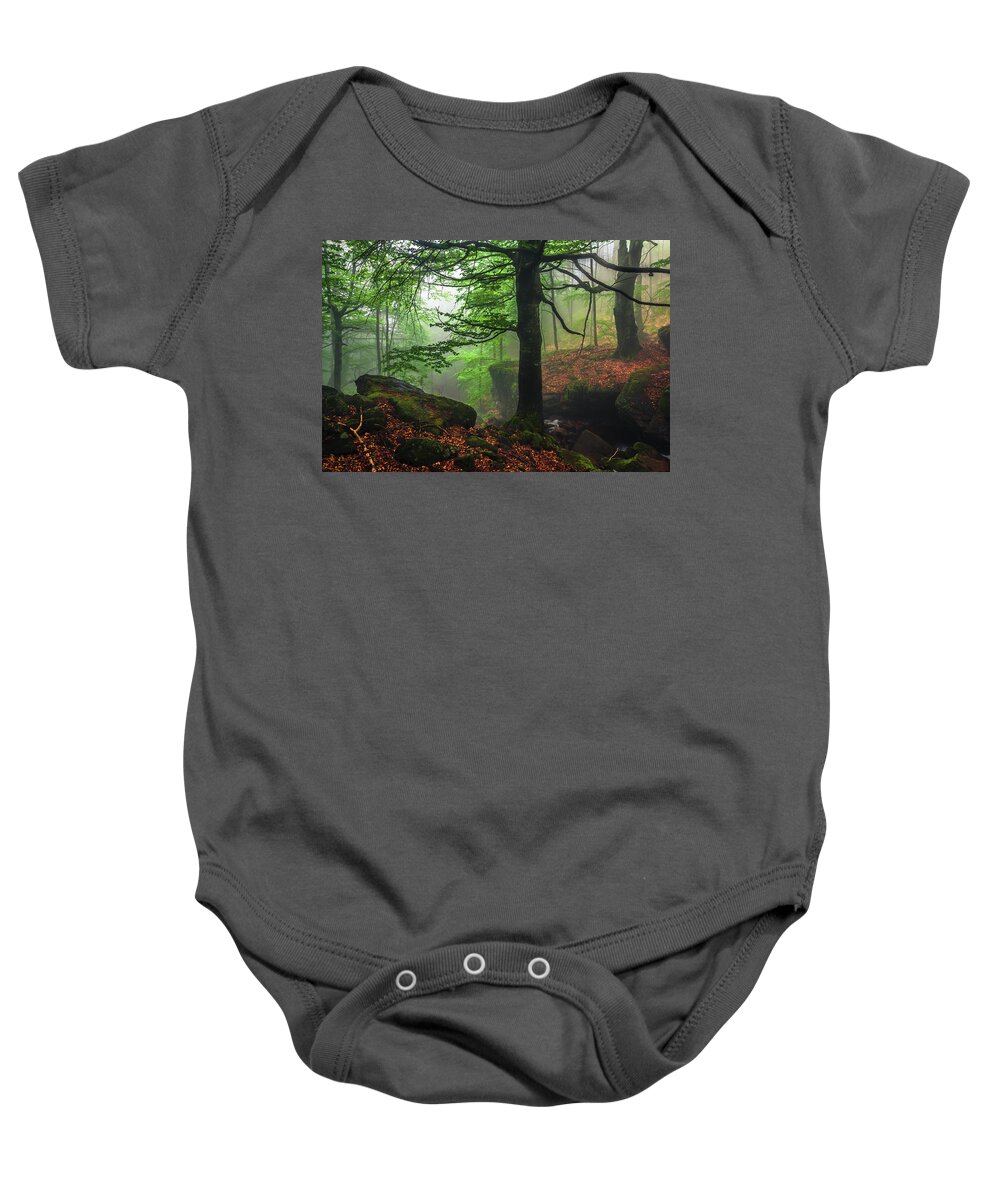 Fog Baby Onesie featuring the photograph Dark Forest by Evgeni Dinev