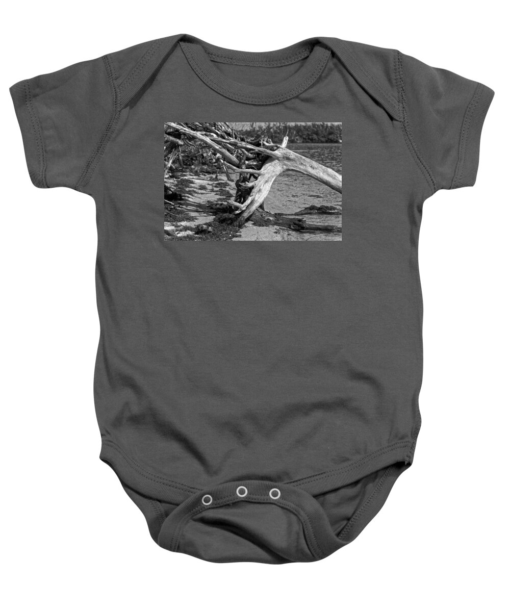 Dead Wood Baby Onesie featuring the photograph Deadwood by the Beach by Alan Goldberg