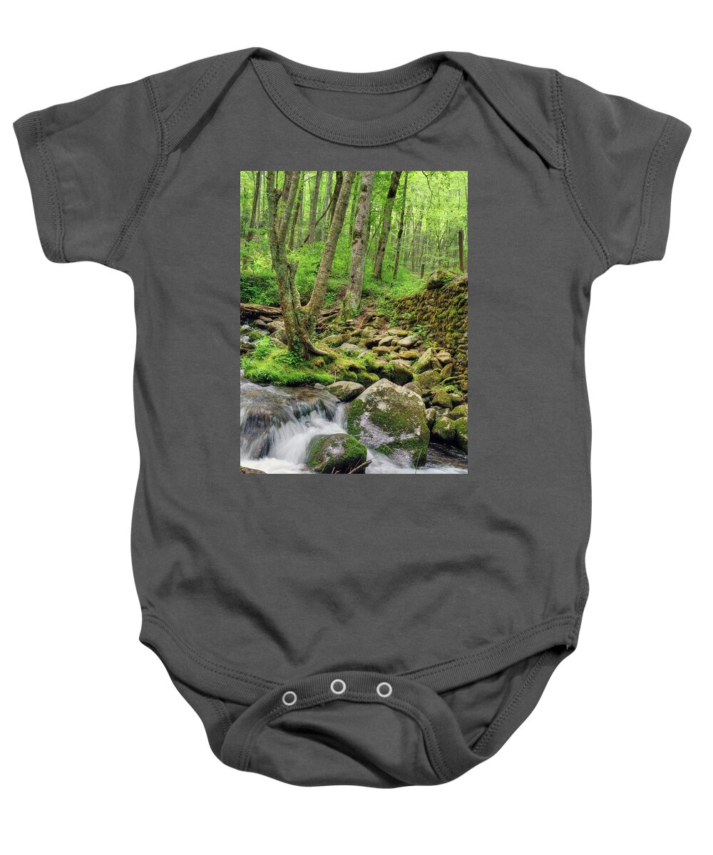 Stream Baby Onesie featuring the photograph Deep Forest Tapestry by Randall Dill