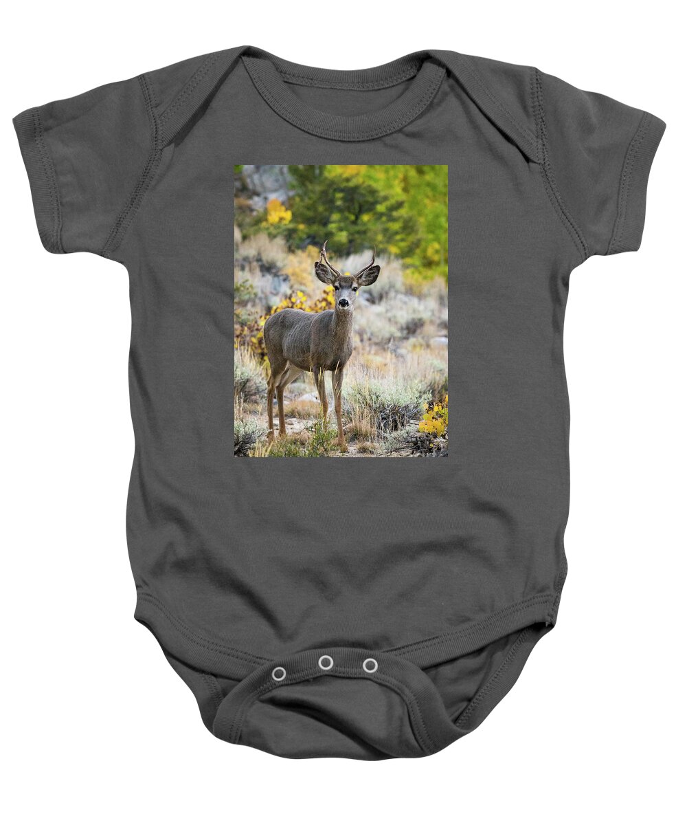  Baby Onesie featuring the photograph Deer and Aspens by Vincent Bonafede