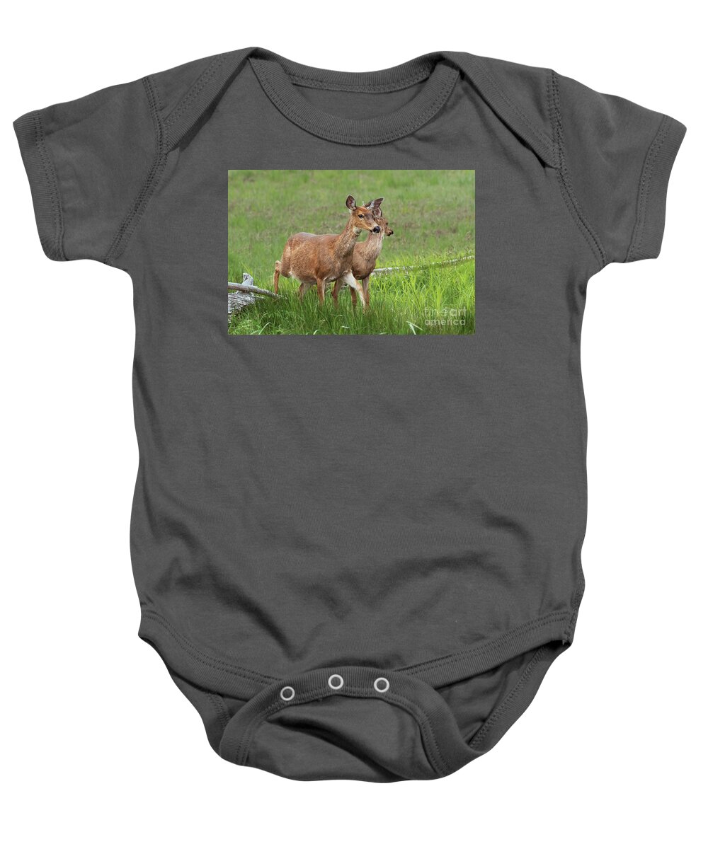 Bowerman Basin Baby Onesie featuring the photograph Deer in a Coastal Marsh in Washington by Nancy Gleason