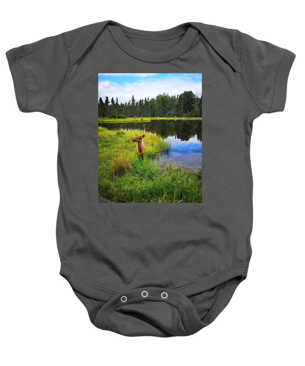 Deer Baby Onesie featuring the photograph Deer Photo 134 by Lucie Dumas
