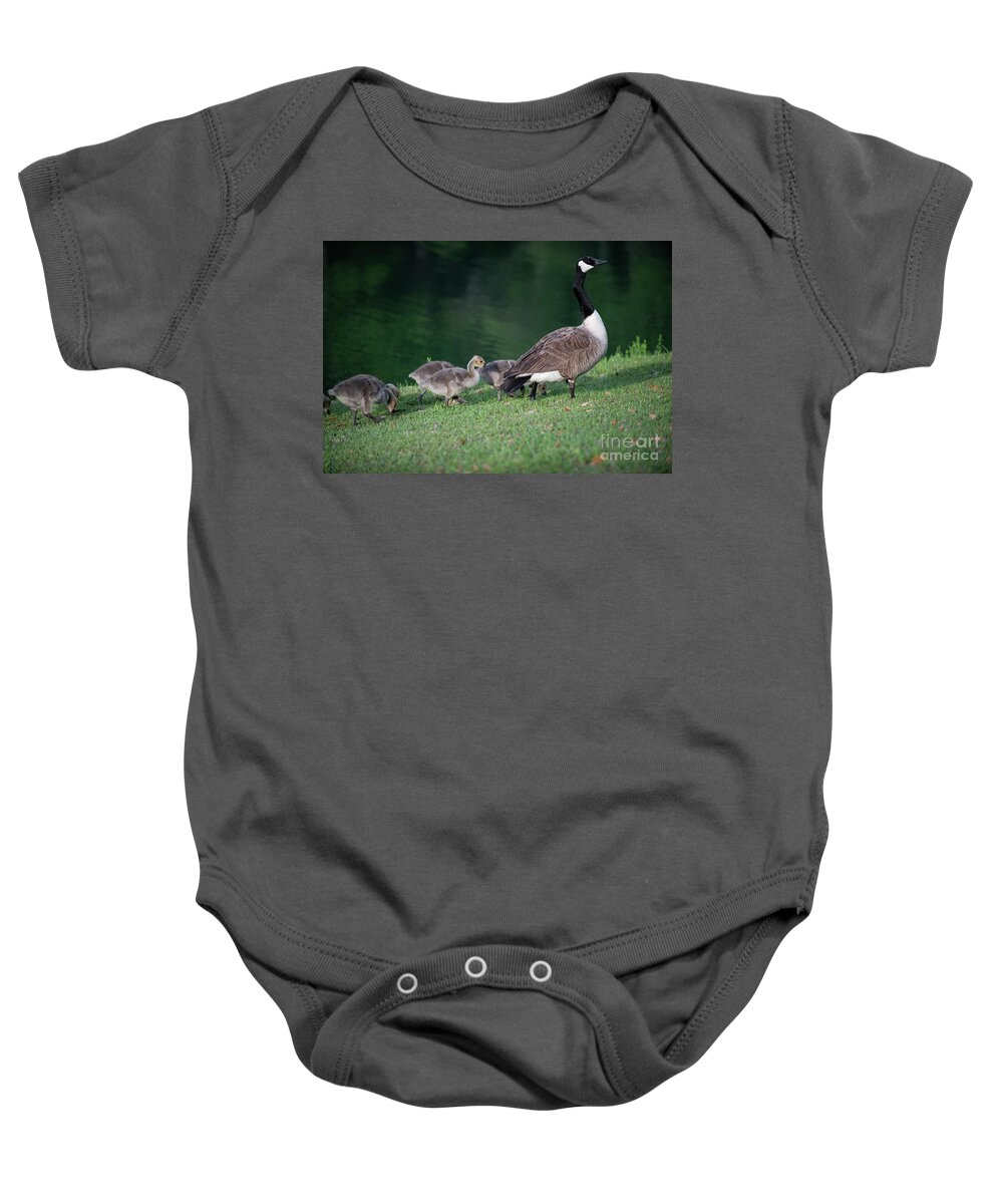 Goose Baby Onesie featuring the photograph Dinner Time - Furry Babies by Dale Powell