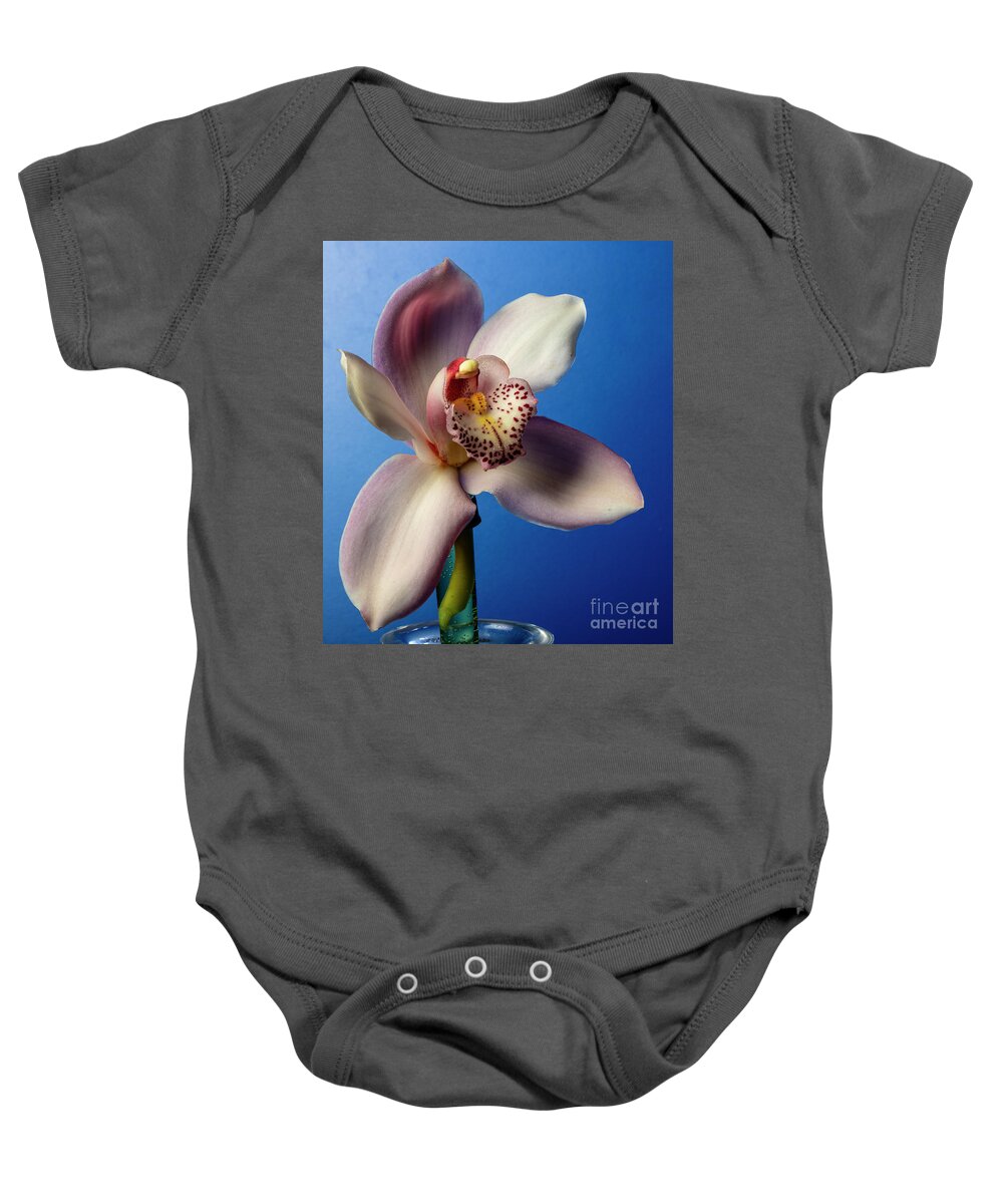 Orcld Baby Onesie featuring the photograph Divine by Doug Norkum