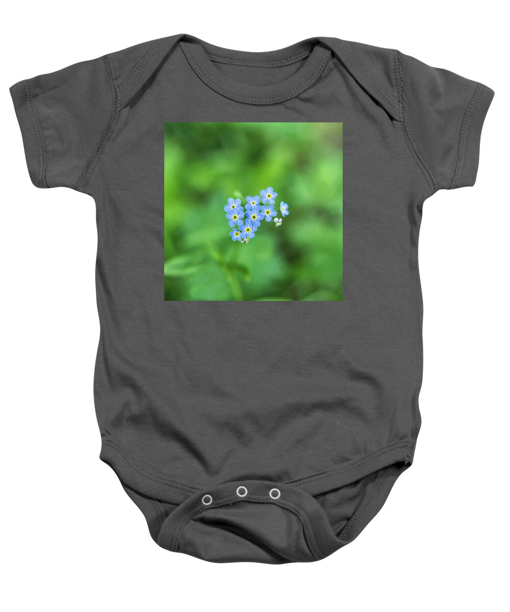 Nature Baby Onesie featuring the photograph Do not dare to forget me by Maria Dimitrova