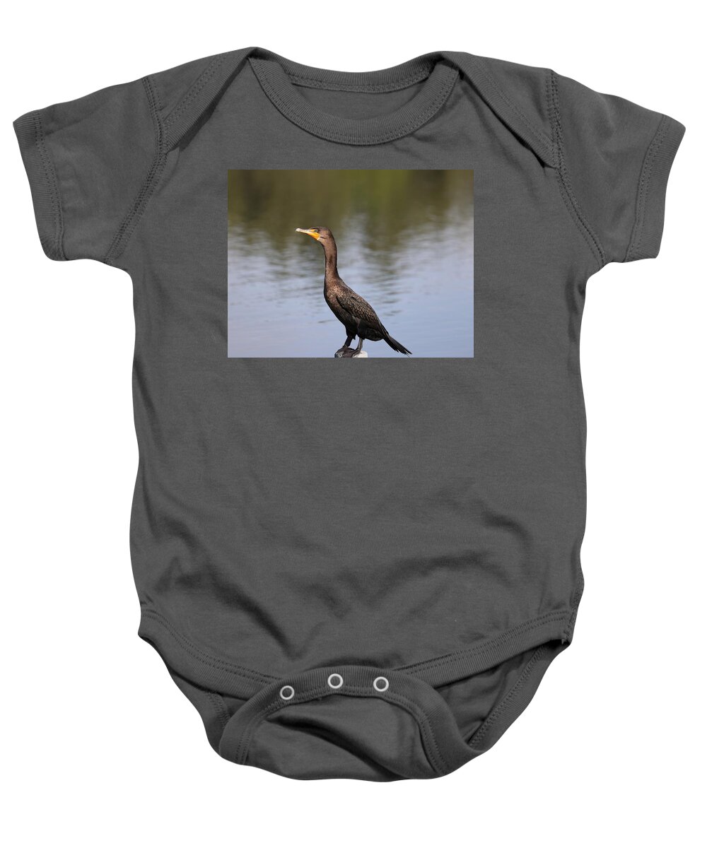 Bird Baby Onesie featuring the photograph Double Crested Cormorant by Mingming Jiang