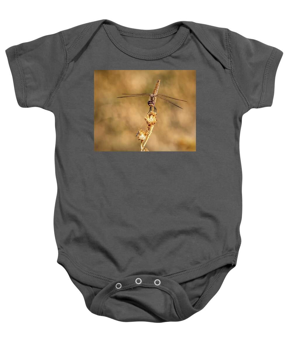 Dragonfly Baby Onesie featuring the photograph Dragonfly 2 by James Sage