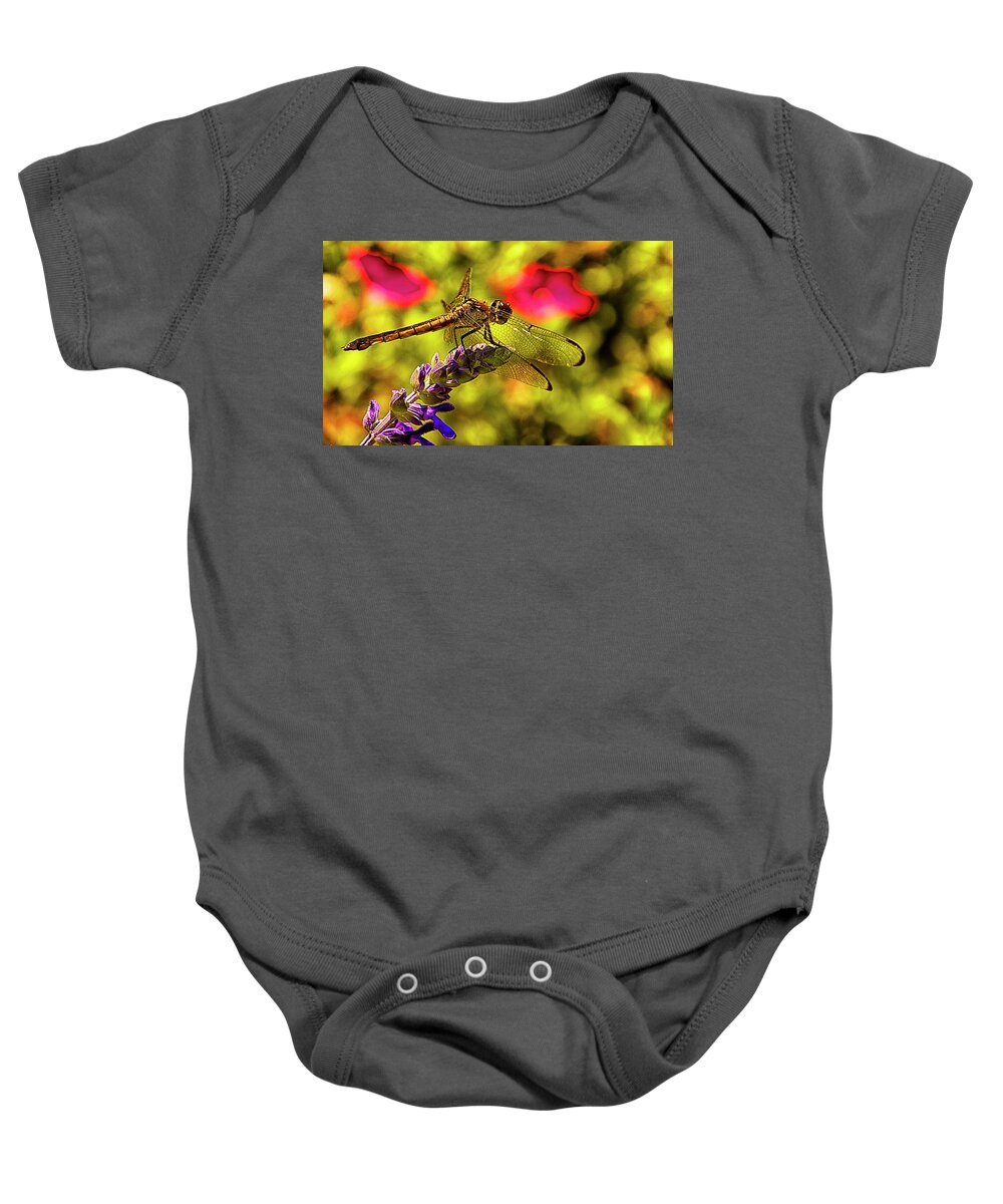 Dragonfly Baby Onesie featuring the photograph Dragonfly by Bill Barber