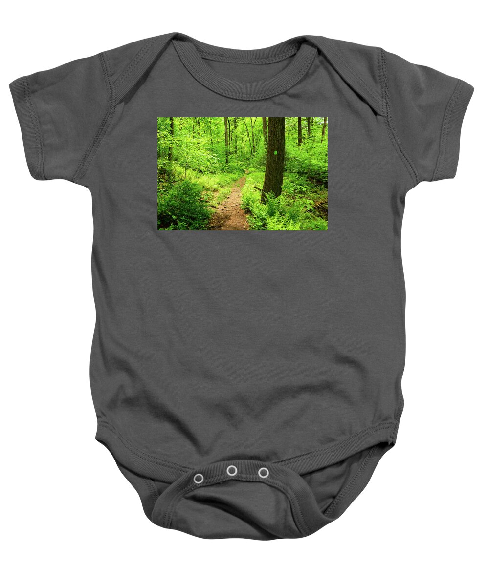 Dwg Dunnfield Creek Spring Green And Trail Blaze Baby Onesie featuring the photograph DWG Dunnfield Creek Spring Green and Trail Blaze by Raymond Salani III