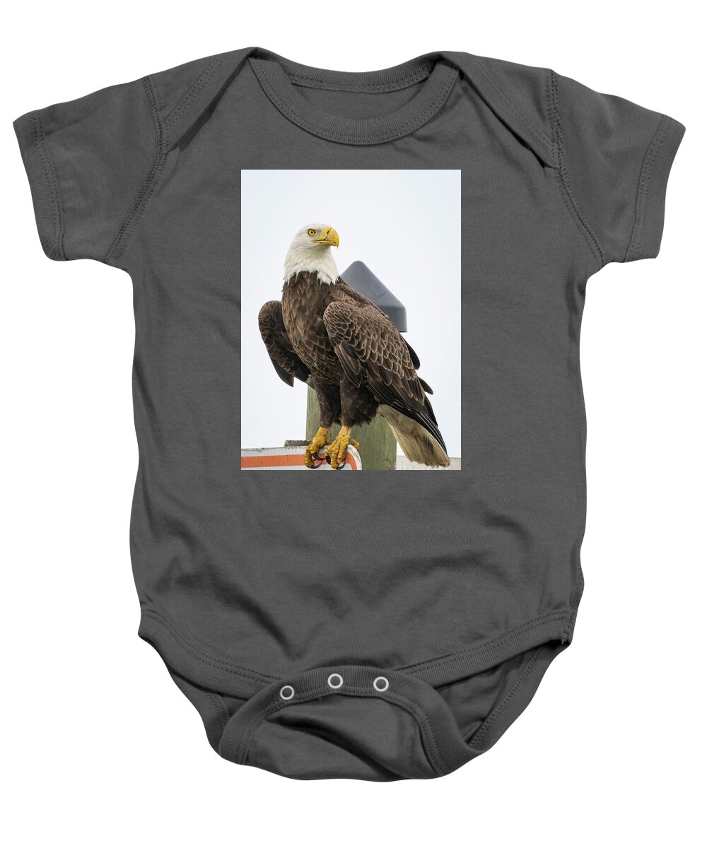 Eagle Baby Onesie featuring the photograph Eagle Perched on Sign by Tom Claud