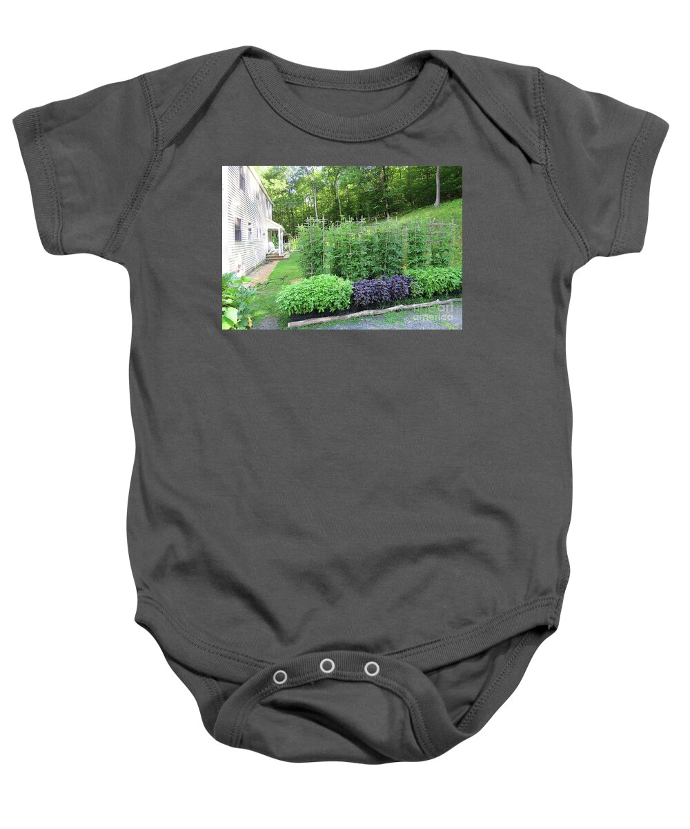 Vegetable Garden Baby Onesie featuring the photograph Early August Tomato Maze. View from the Driveway. The Victory Garden Collection. by Amy E Fraser