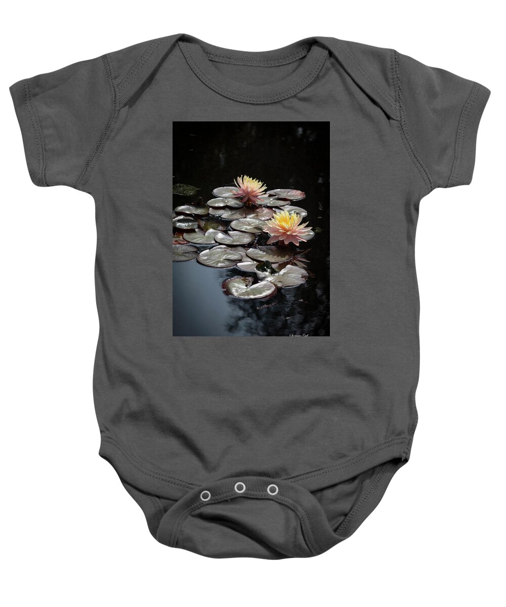 Photograph Baby Onesie featuring the photograph Early Spring Water Lilies II by Suzanne Gaff