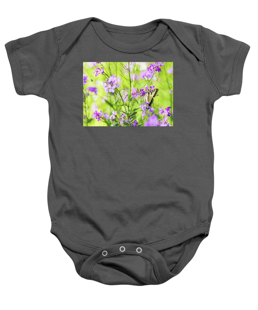 Animals Baby Onesie featuring the photograph Eastern Tiger Swallowtail Butterfly 3 - Nature Photography by Amelia Pearn