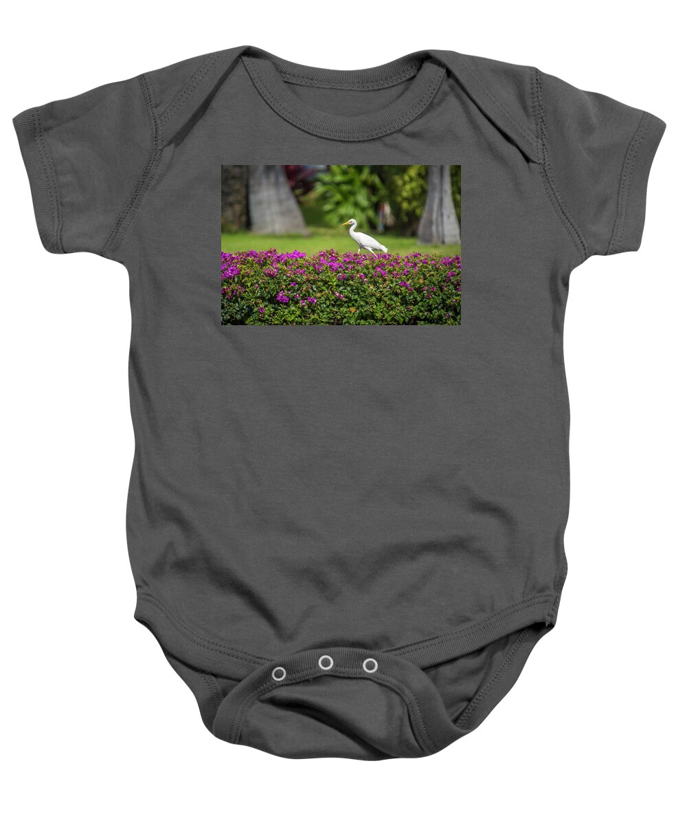 Birds Baby Onesie featuring the photograph Egret on Hedge by Bill Cubitt