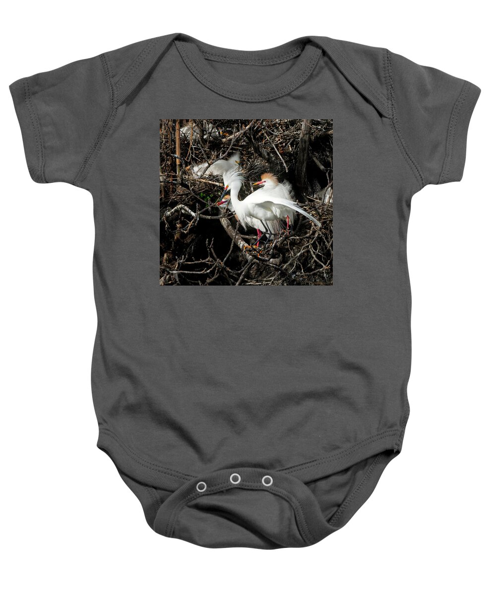 Egrets Baby Onesie featuring the photograph Egret with Two Teens by Faith Burns