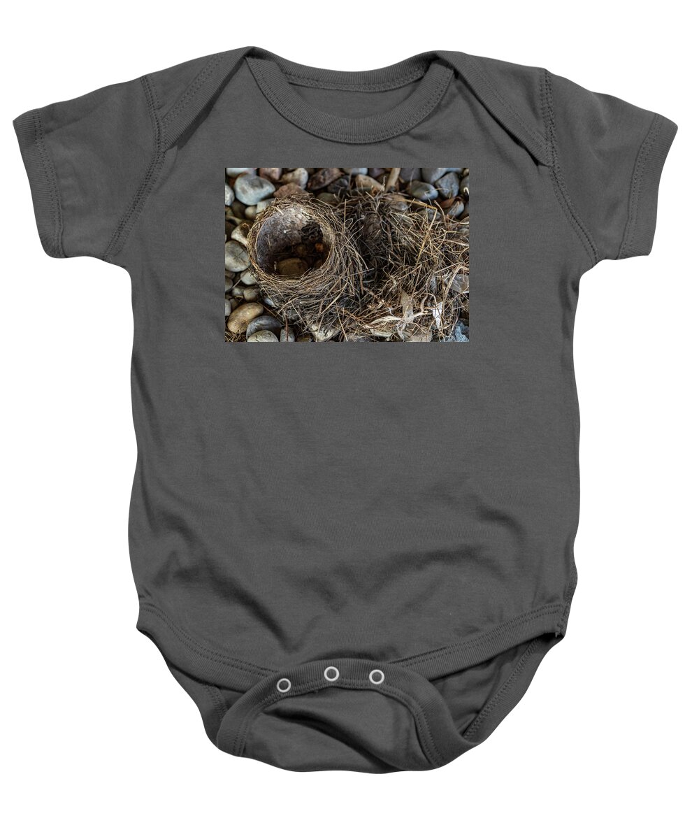 Animals Baby Onesie featuring the photograph Empty Nest - Wildlife Photography 2 by Amelia Pearn