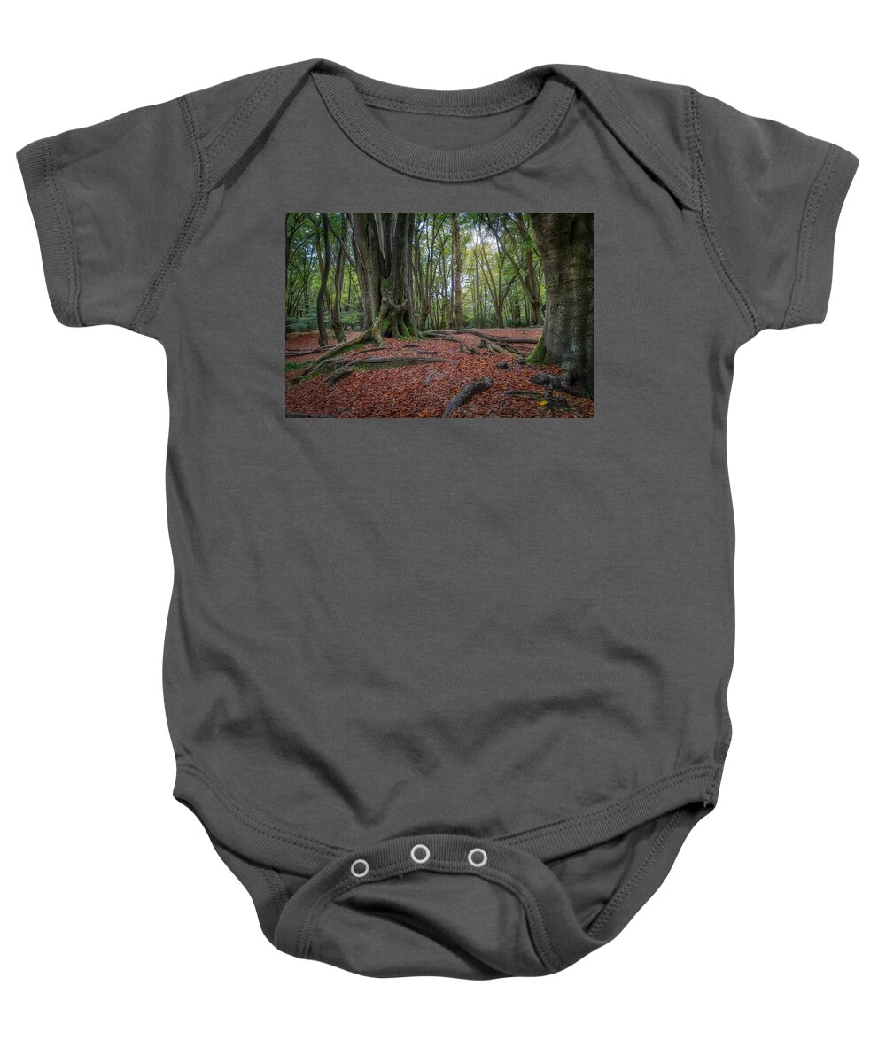 Epping Forest Baby Onesie featuring the photograph Epping Forest by Raymond Hill