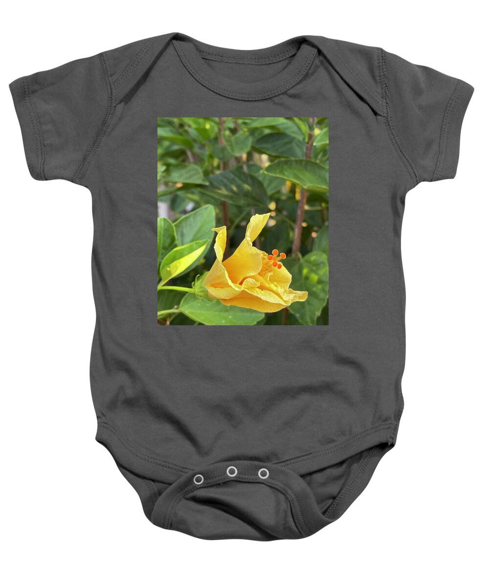 Photograph Baby Onesie featuring the photograph Evening Hibiscus by Beverly Read