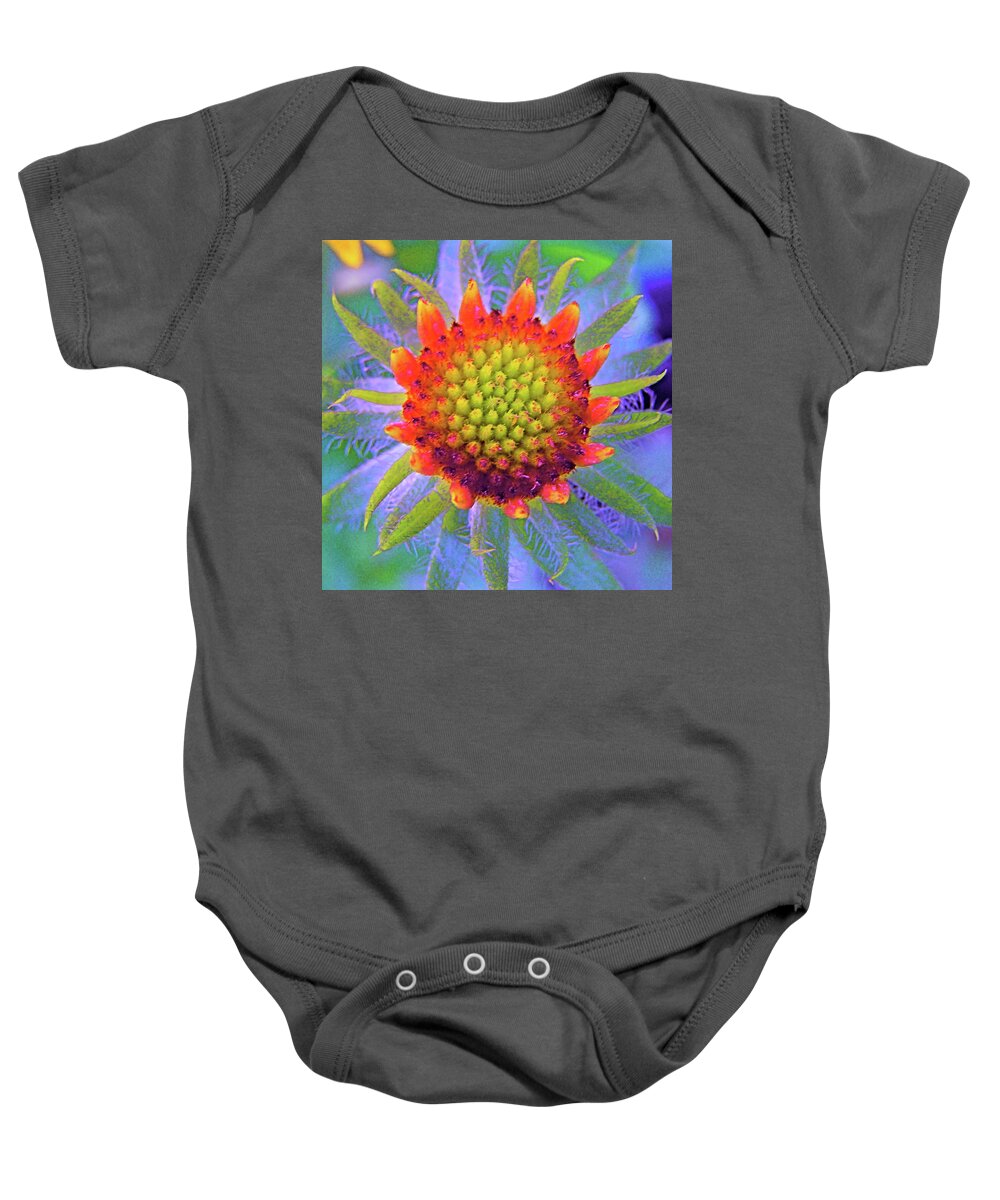  Baby Onesie featuring the photograph Eye Candy by Dorsey Northrup