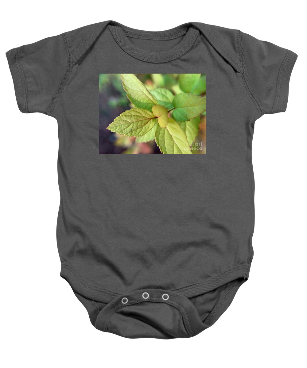 Shrub Baby Onesie featuring the photograph Fall Beginnings by Catherine Wilson