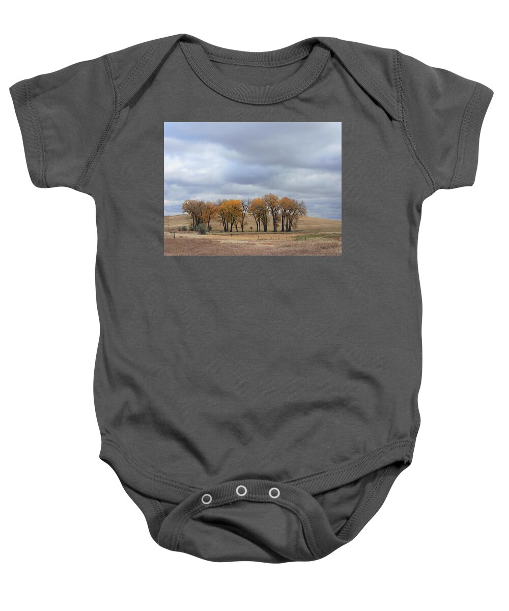 Fall Baby Onesie featuring the photograph Fall Cluster by Amanda R Wright