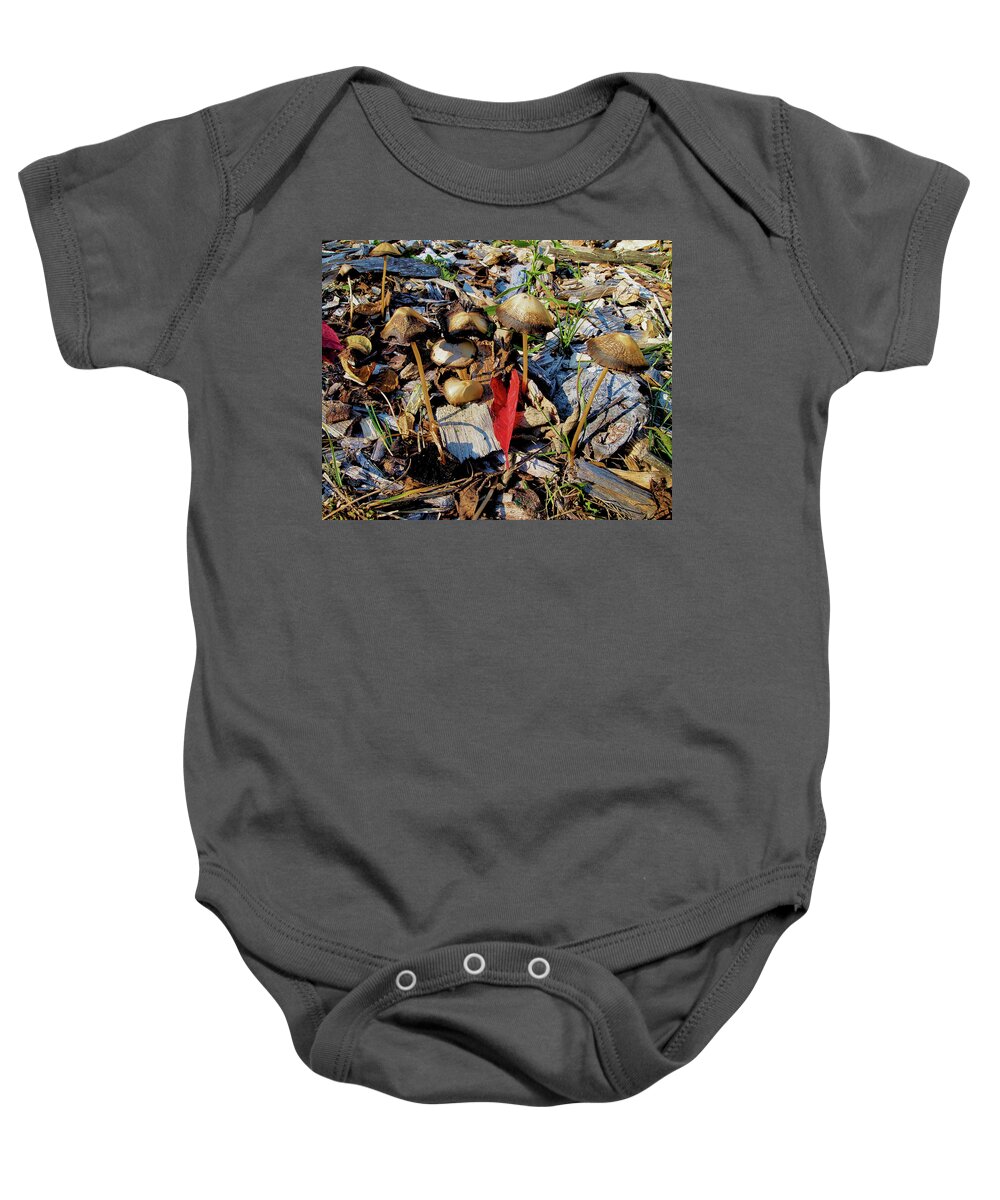 Fall Baby Onesie featuring the photograph Fall Mushrooms I by Scott Olsen