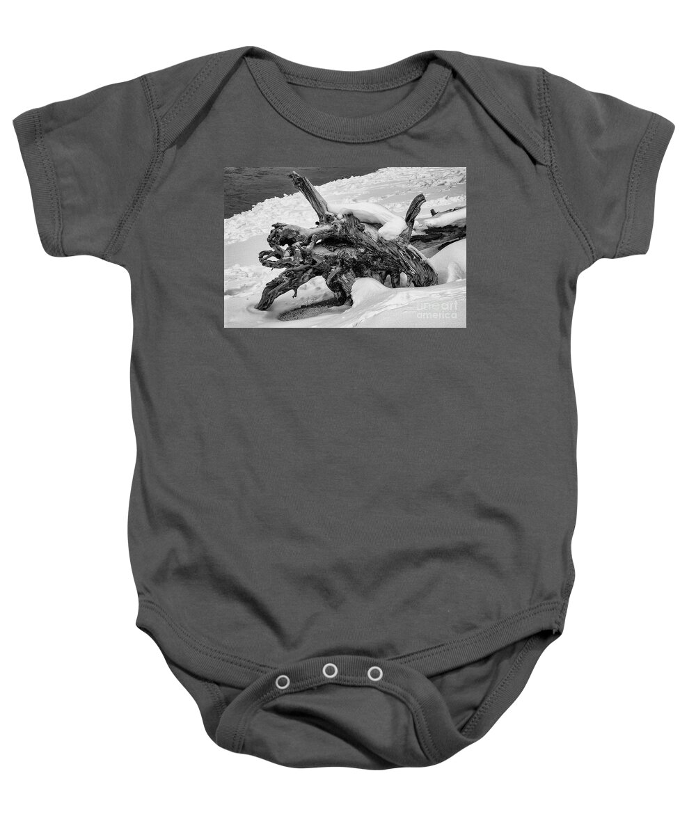 Yellowstone National Park Baby Onesie featuring the photograph Fallen Tree in Yellowstone 2 by Bob Phillips